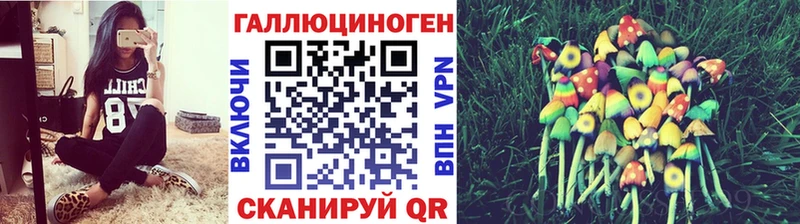 блэк спрут зеркало  Качканар  Псилоцибиновые грибы Cubensis 