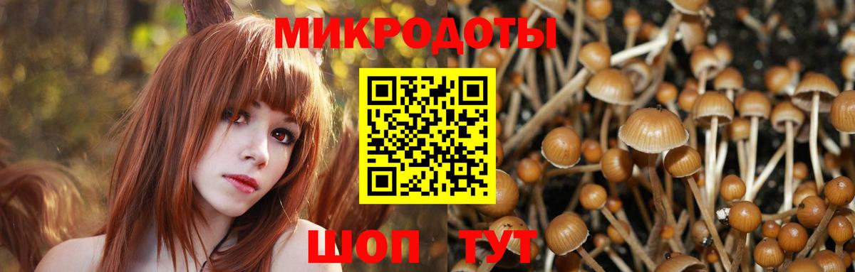 что такое   Псилоцибиновые грибы Magic Shrooms  Вход с VPN  Качканар 